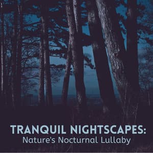 Tranquil Nightscapes: Nature's Nocturnal Lullaby - Nature & Sounds Background
