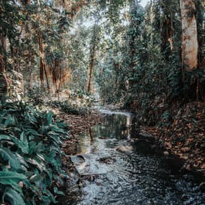 Soothing River Spa Escape: Relaxing Music Water - River Sound for Sleep