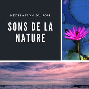 Sons de la nature - Méditation du soir - Club de Détendre Tibétain