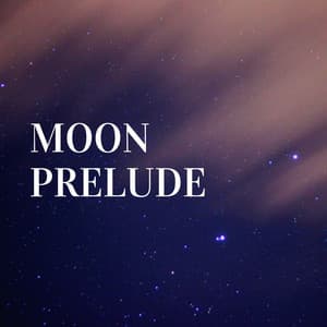 Moon Prelude - Tranquility Spree