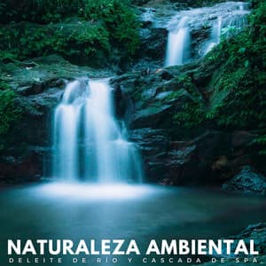 Naturaleza Ambiental: Deleite De Río Y Cascada De Spa - Sonidos de agua Ruido blanco natural