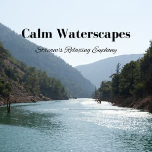 Calm Waterscapes: Stream's Relaxing Euphony - Hypnotherapy