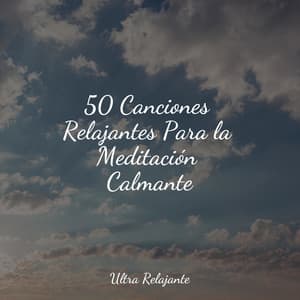 50 Canciones Relajantes Para la Meditación Calmante - Dormir e Meditar