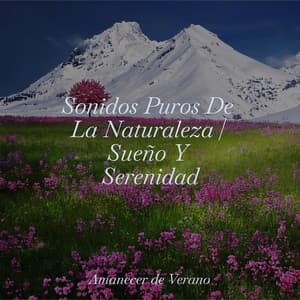 Sonidos Puros De La Naturaleza | Sueño Y Serenidad - Meditación Interna