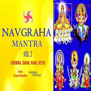 Navgraha Mantra, Vol. 2 - Brijesh Shandilya