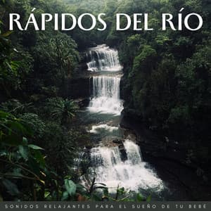 Rápidos Del Río: Sonidos Relajantes Para El Sueño De Tu Bebé - Sonido Submarino