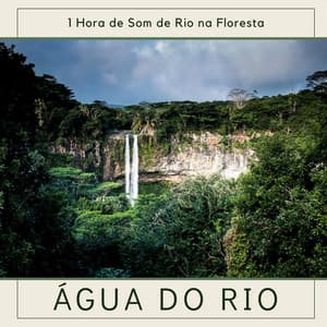 Água do Rio - 1 Hora de Som de Rio na Floresta, Relaxamento e Bem Estar - Sons da Natureza Relax