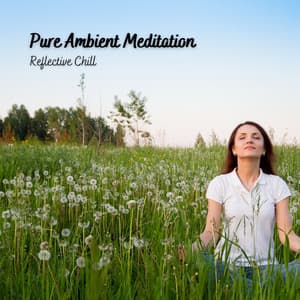 Pure Ambient Meditation: Reflective Chill - Relaxing Mindfulness Meditation Relaxation Maestro