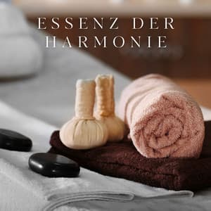 Essenz der Harmonie: Wellnessmusik - Entspannungsmusik Spa