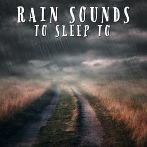 Rain Sounds To Sleep To - Natural Sample Makers