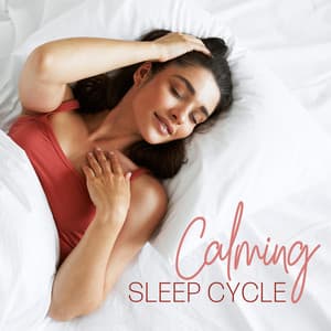 Calming Sleep Cycle: Sounds to Beat Insomnia, Cozy Sounds - Natural Sleep Aid Music Zone