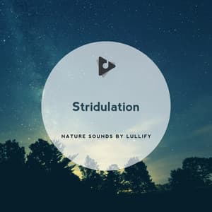 Stridulation - Nature Sounds by Lullify