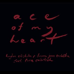 Ace of My Heart - Hayden Chisholm