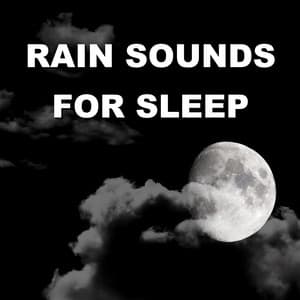 Rain Sounds for Sleep - Wind and Rain Sounds