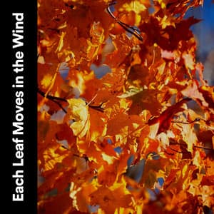 Each Leaf Moves in the Wind - Cricket Sounds