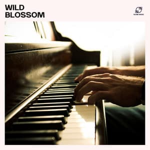 Wild Blossom: Peaceful Piano Music - Relaxing Piano Moments