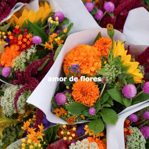 amor de flores - Jazz Collections for Reading