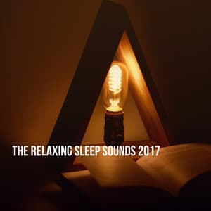 The Relaxing Sleep Sounds 2017 - Relaxing Rain Sounds