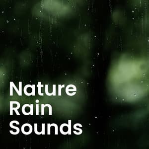 Nature's Embrace: Tranquil Sounds for Meditation & Relaxation - Nature Ambience
