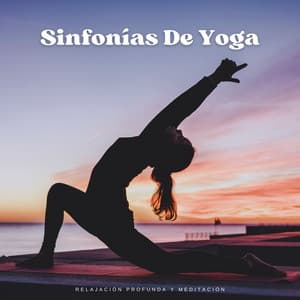 Sinfonías De Yoga: Relajación Profunda Y Meditación - Meditaciones de nativos americanos