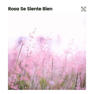 Rosa Se Siente Bien - Meditación Con Ruido Rosado