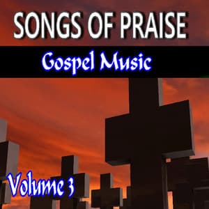 Songs of Praise Gospel Music, Vol. 3 - John White