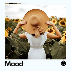 Mood - Ambient Sample Library