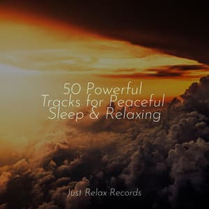 50 Powerful Tracks for Peaceful Sleep & Relaxing - Reiki Tribe