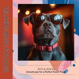 Jive & Jowls: Smooth Jazz for a Perfect Pooch Polish - Relaxing Music for Dogs