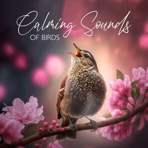 Calming Sounds of Birds Chirping in Spring - Serenity Nature Sounds Academy