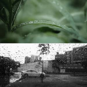 Music for Cozy Wednesday - Background Restaurant Lounge Music