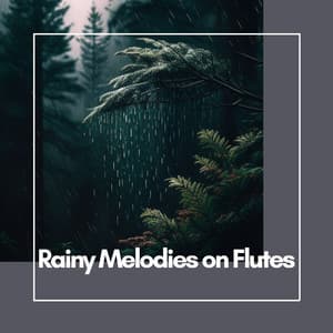 Rainy Melodies on Flutes - Relax Flute Music