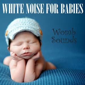 White Noise for Babies: Womb Sounds - White Noise from TraxLab