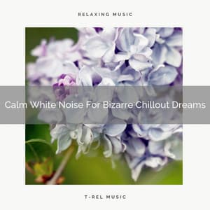 Calm White Noise For Bizarre Chillout Dreams - Ocean Sleep Sounds
