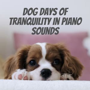 Dog Days of Tranquility in Piano Sounds - Piano Jazz Masters