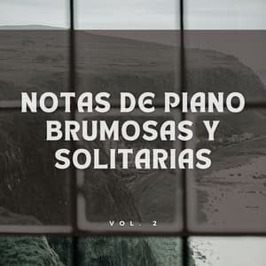 Notas De Piano Brumosas Y Solitarias Vol. 2 - Registradores de lluvia