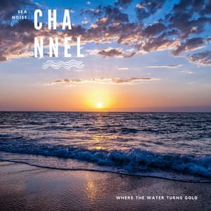 Where the Water Turns Gold - Sea Noise Channel