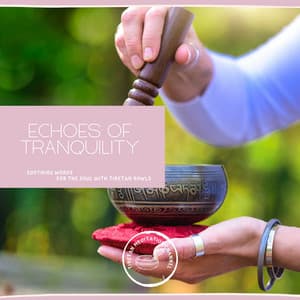 Echoes of Tranquility: Soothing Words for the Soul with Tibetan Bowls - Tibetan Meditation Channel