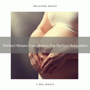 Perfect Noises Compilation For Perfect Relaxation - Pure Deep Sleep White Noise