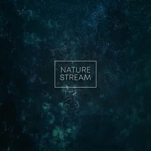 Nature Stream - Jungle Sounds
