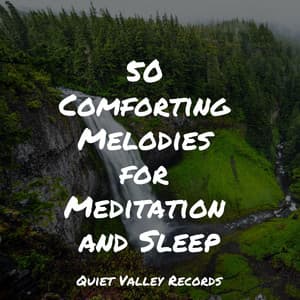 50 Comforting Melodies for Meditation and Sleep - Ruído Branco