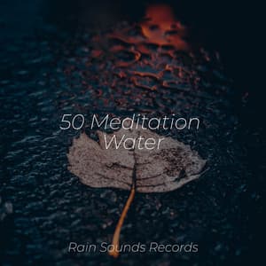 50 Meditation Water - Massage Therapy Music