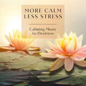 More Calm Less Stress - Calming Music to Destress - No Stress Ensemble