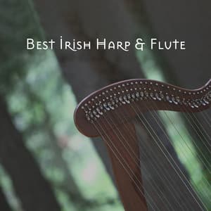 Best Irish Harp & Flute: Celtic Spa & Relaxation, Tranquil Spirit, Instrumental Celtic Songs, Soft Background Music for Stress Relief - Nawang Dautar