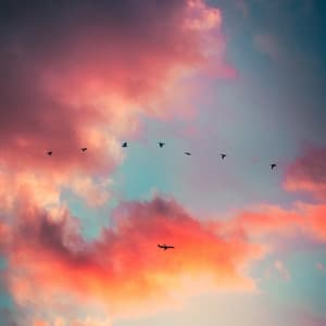 Longer Relax Sound - Black Noise Sleep