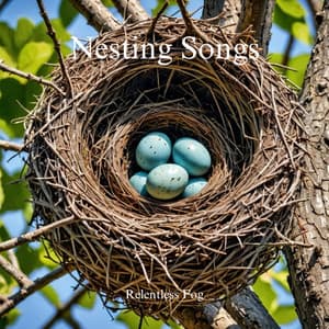 Nesting Songs - Relentless Fog