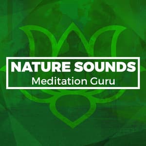 Nature Sounds Meditation Guru - Nature Sounds Meditation