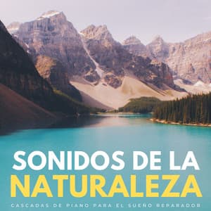 Sonidos De La Naturaleza: Cascadas De Piano Para El Sueño Reparador - Cascada ruido blanco