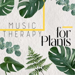 Music Therapy for Plants - Deu Terapia