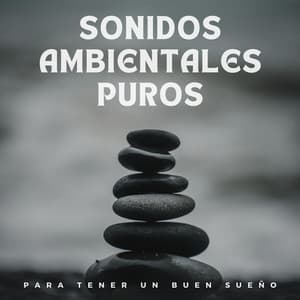 Sonidos ambientales puros para tener un buen sueño - Sonidos para dormir Ruidos ambientales